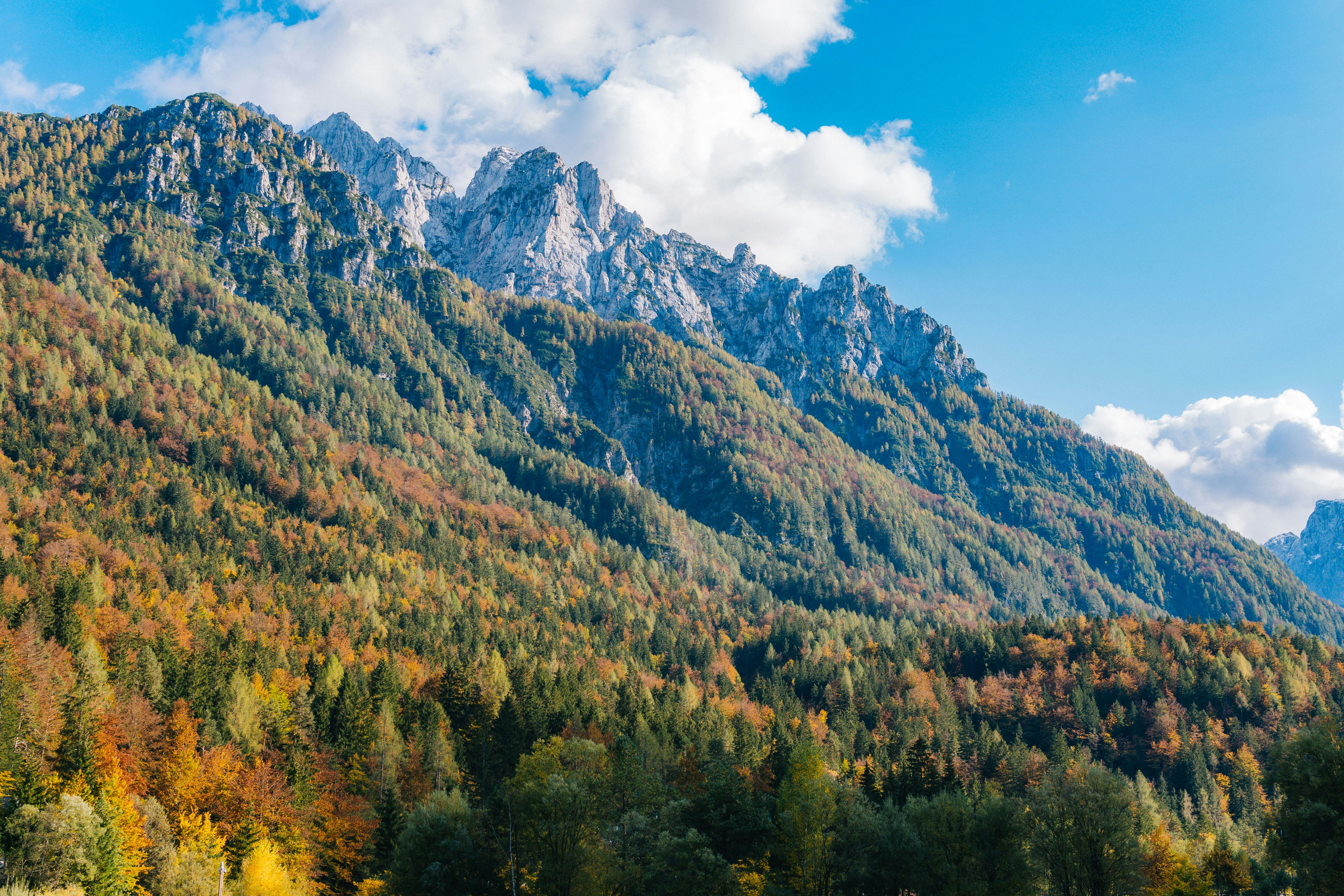 green trees near mountain under blue sky during daytime